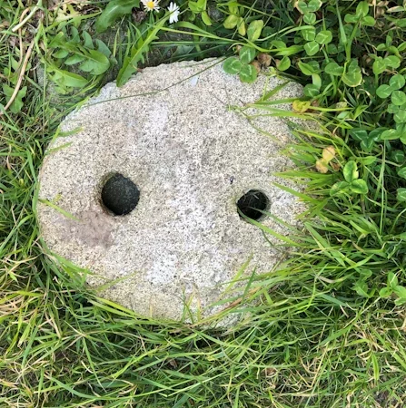 Illustration d'un visage stylisé, symbolisant la réflexion et l'intelligence humaine.